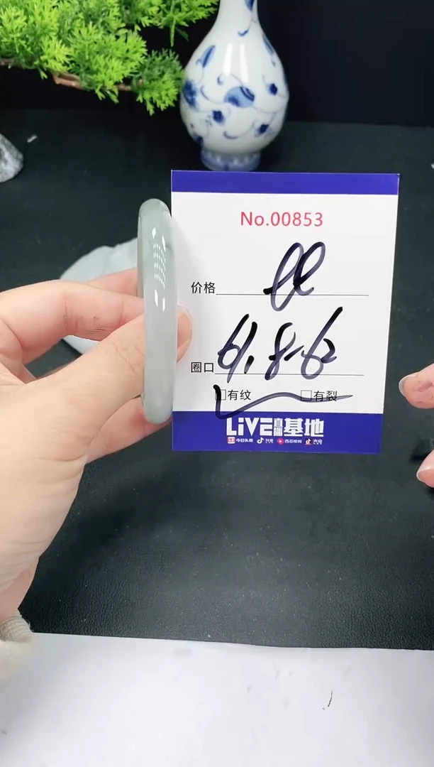 未镶嵌手镯翡翠853