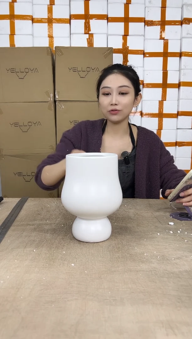 花盆花盆中号01.01--6