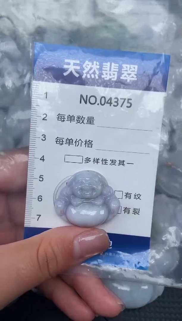 颈饰未镶嵌翡翠纯天然A货翡翠4375