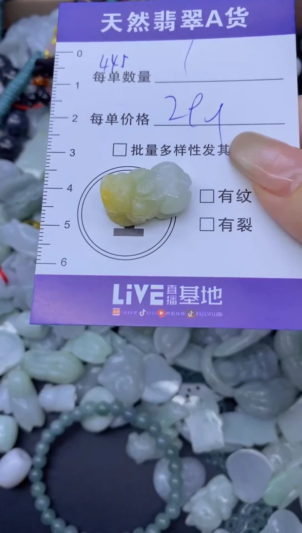 颈饰未镶嵌翡翠天然翡翠A货批量多样性发一件