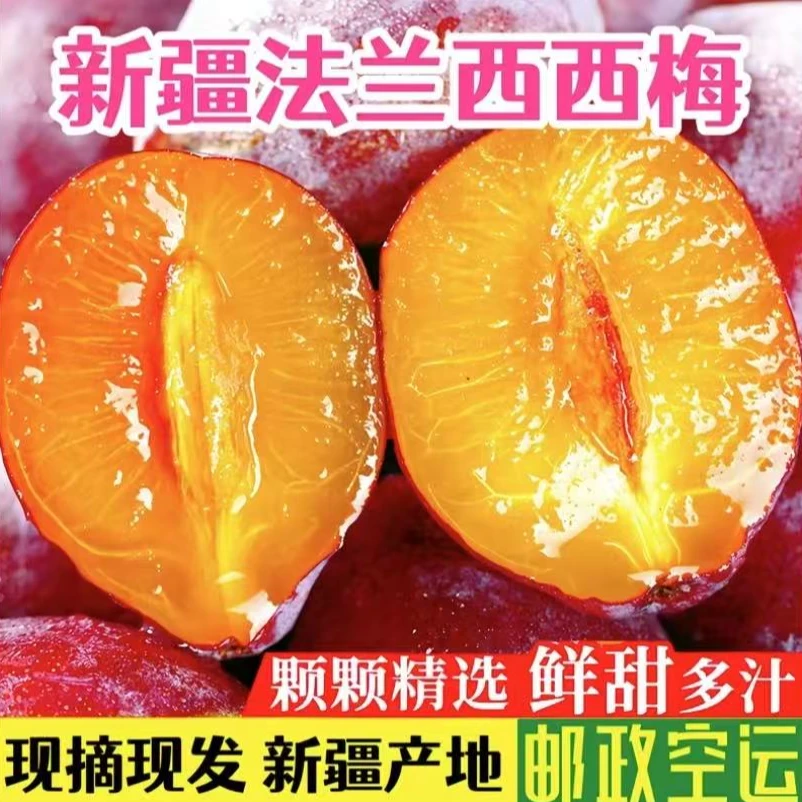 新鲜喀什法兰西西梅新梅西梅酸甜可口孕妇水果（空运包邮）