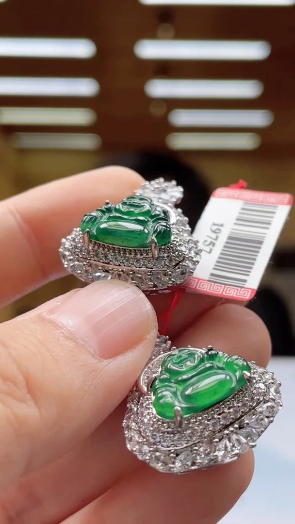 翡翠未镶嵌颈饰多样性发货（只发一件）x41