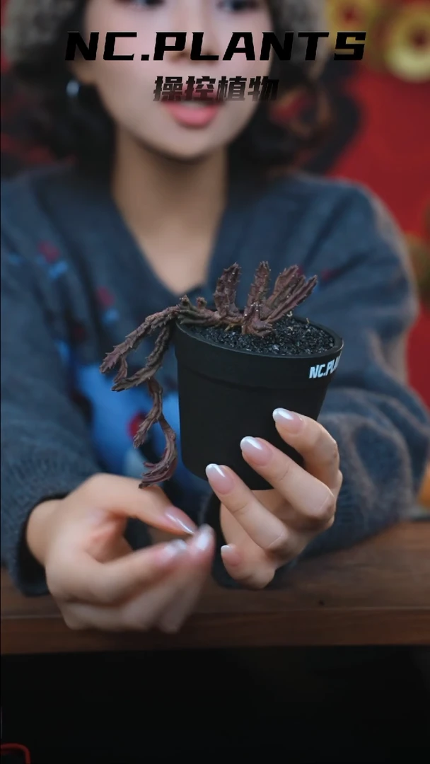 【闪购商品】黑犀牛