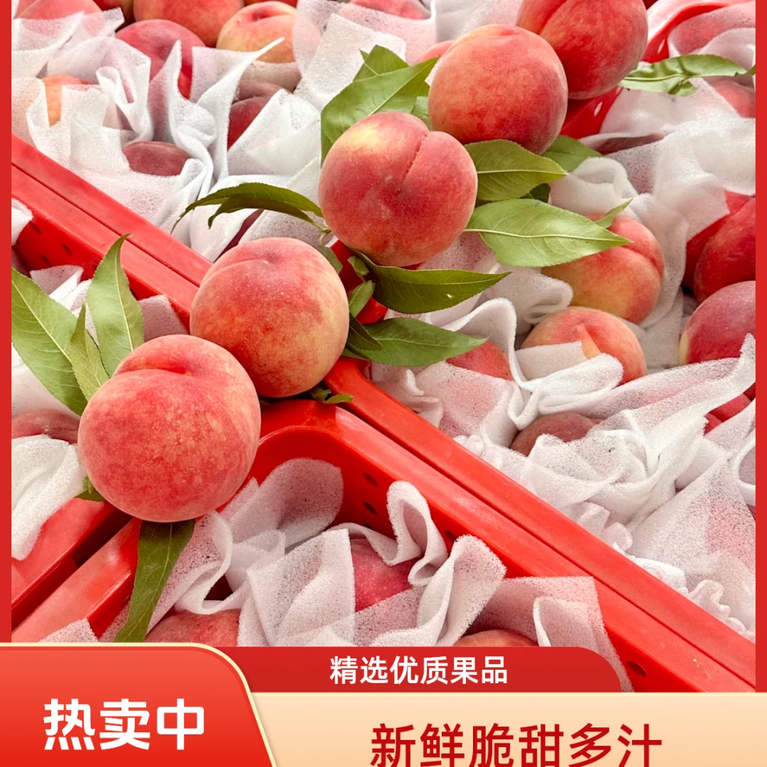 【顺丰包邮】正宗四川龙泉驿水蜜桃放软可轻松撕皮香甜软糯多汁