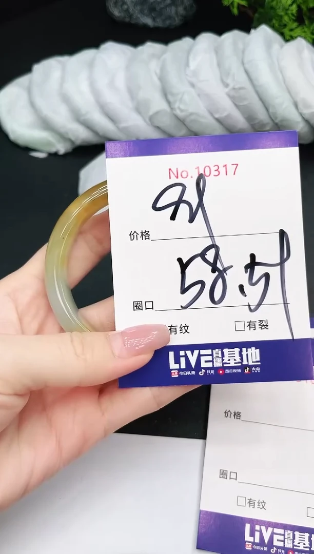 未镶嵌手镯翡翠10317