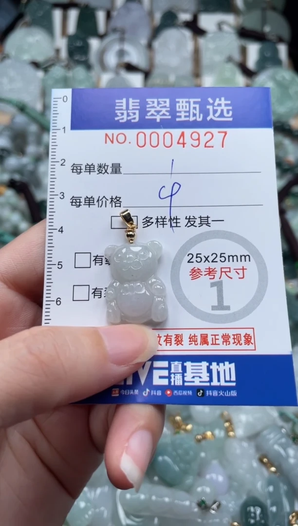 翡翠未镶嵌颈饰00..4927