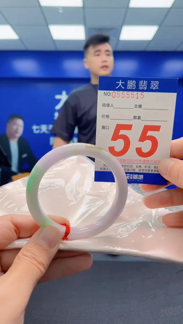 未镶嵌手镯翡翠AAAAAAAAA
