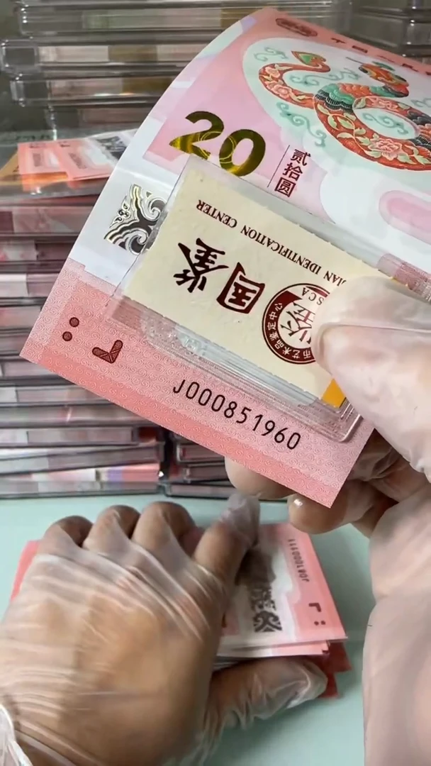 【闪购商品】塑料000851960-蛇钞单张！