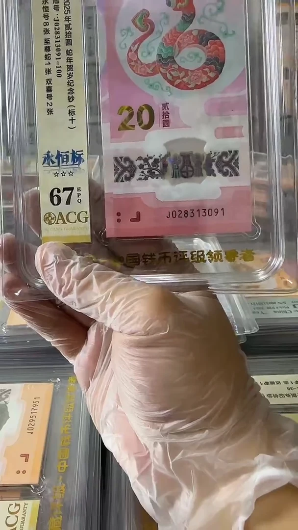 塑料028313091-蛇钞标十