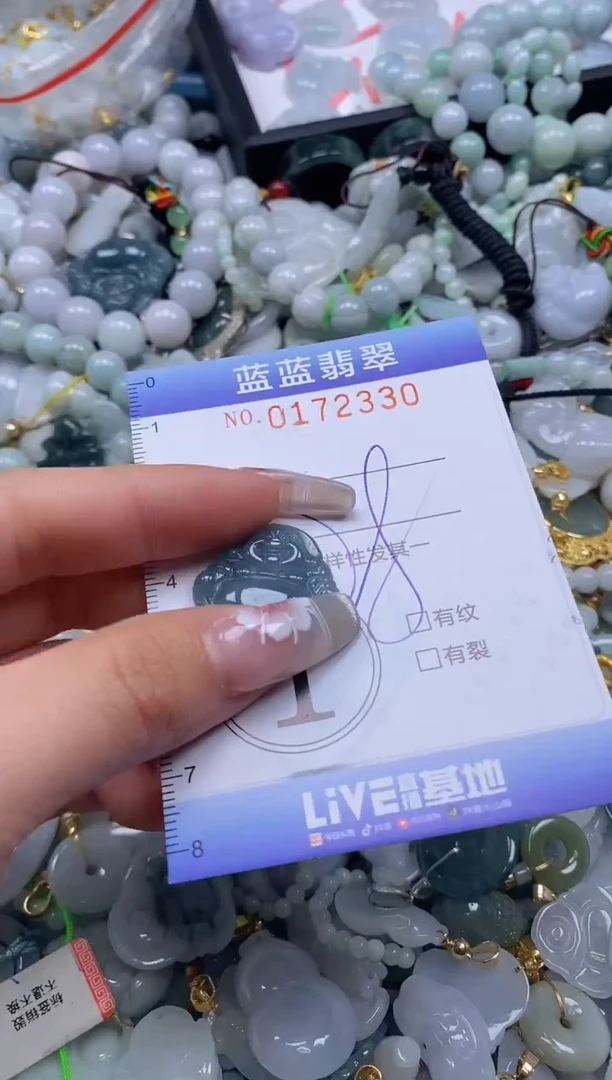 【闪购商品】翡翠颈饰未镶嵌闪购0172330