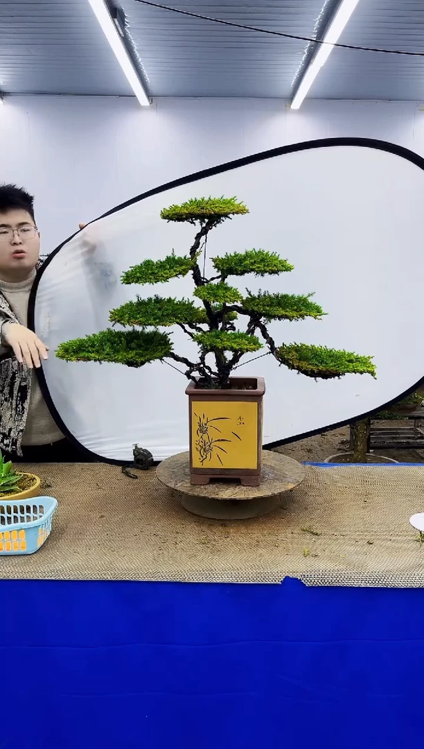 无花朵一物一拍，所见即所得