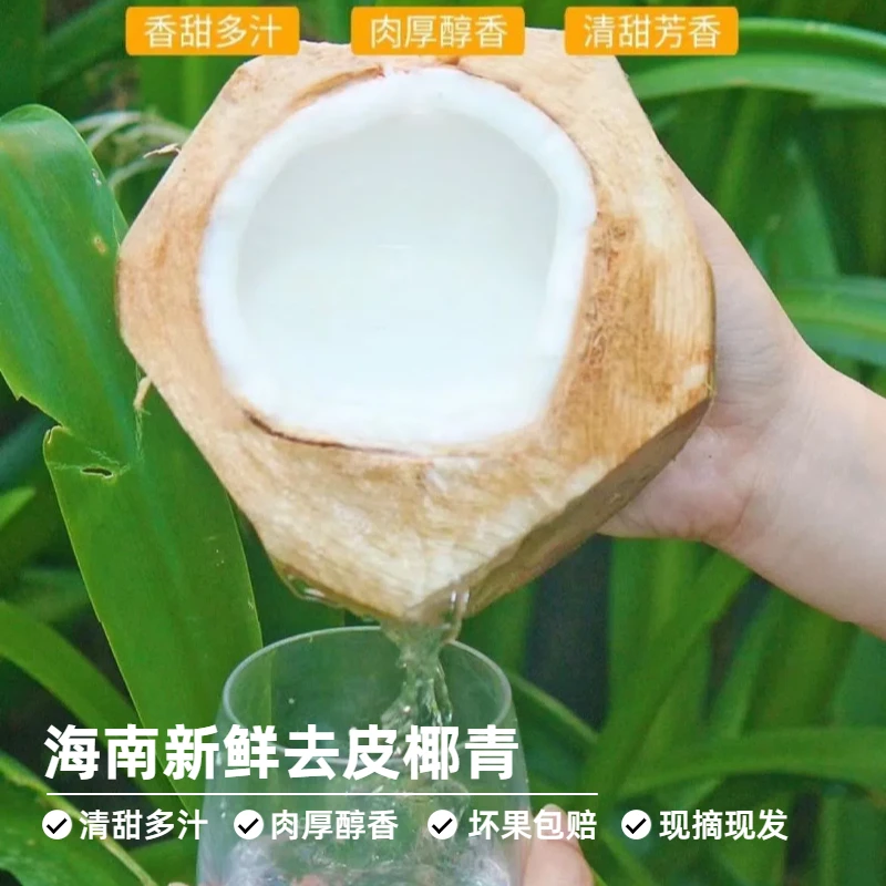 【6个装海南新鲜去皮椰青】 椰子水清甜多汁 椰肉洁白奶甜味