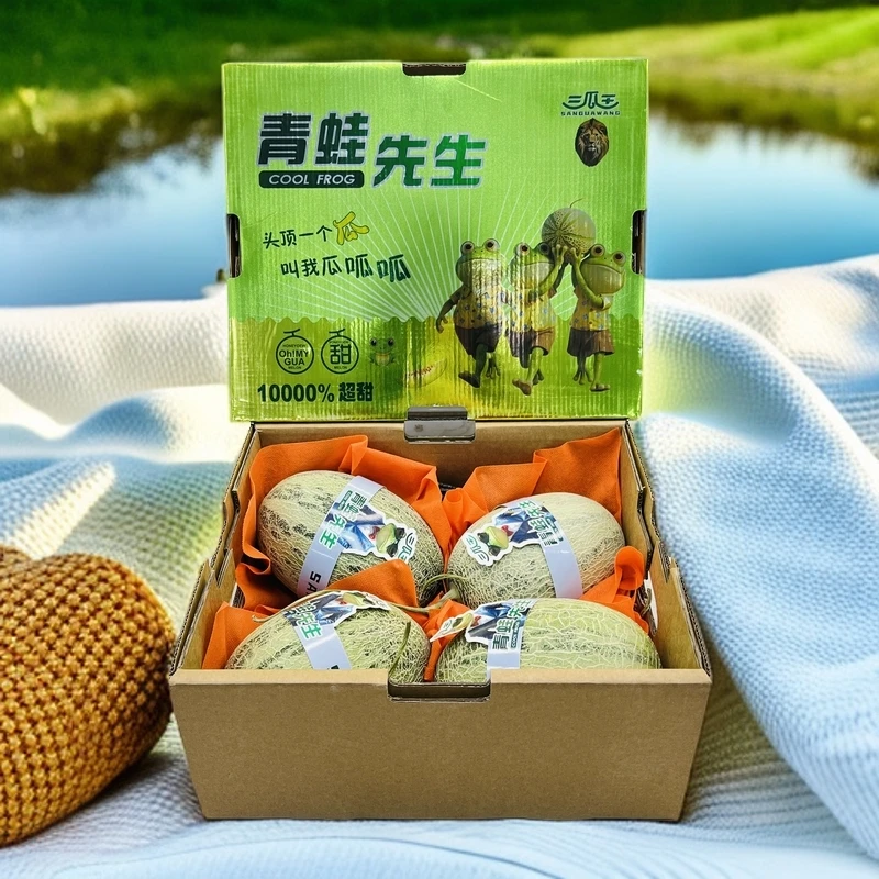 【青蛙王子蜜瓜】嫩软绵甜  整箱带箱12斤左右 限太原晋中吕梁购买