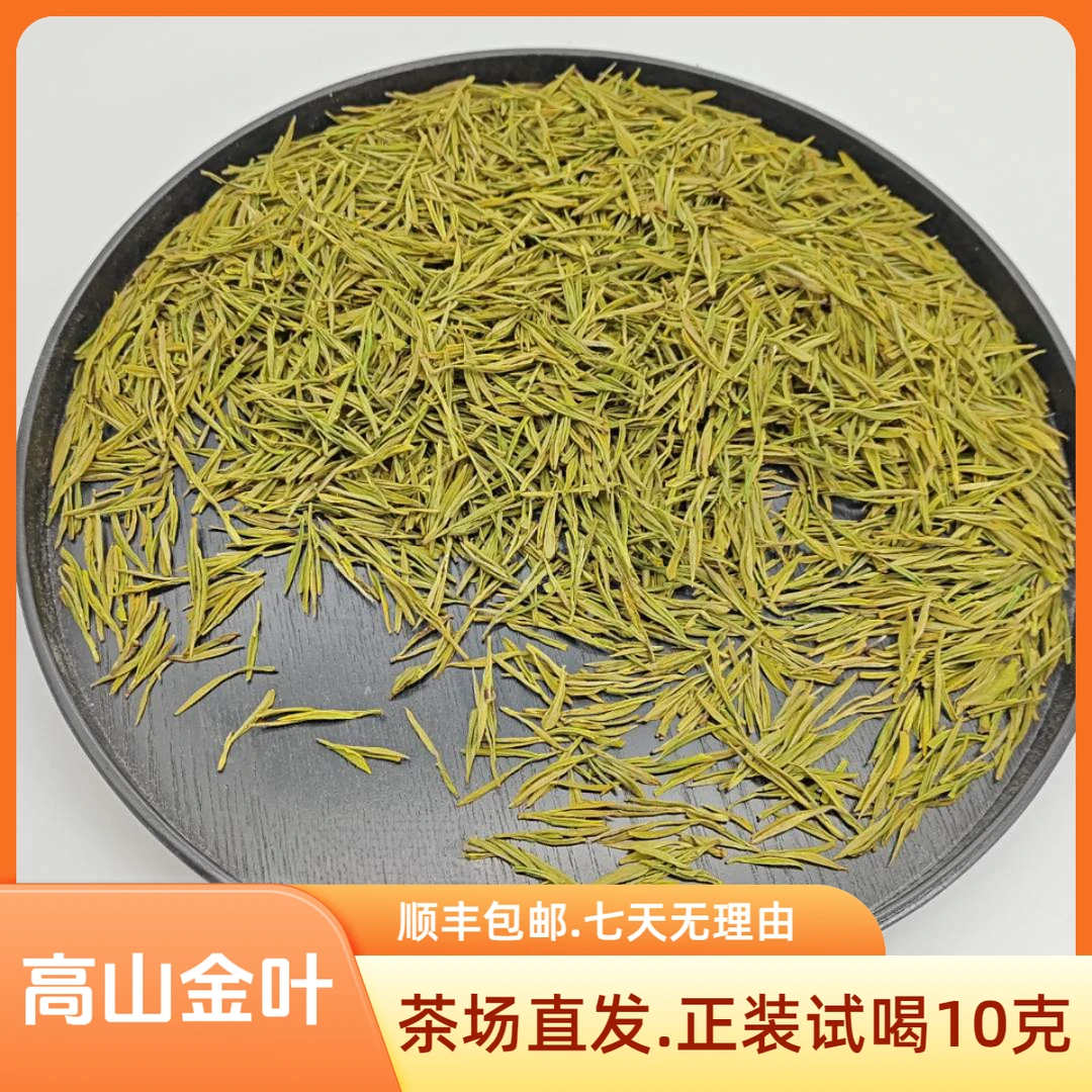 【高山金叶】黄金芽新茶浓香耐泡色泽金黄溪龙原产地茶场直发