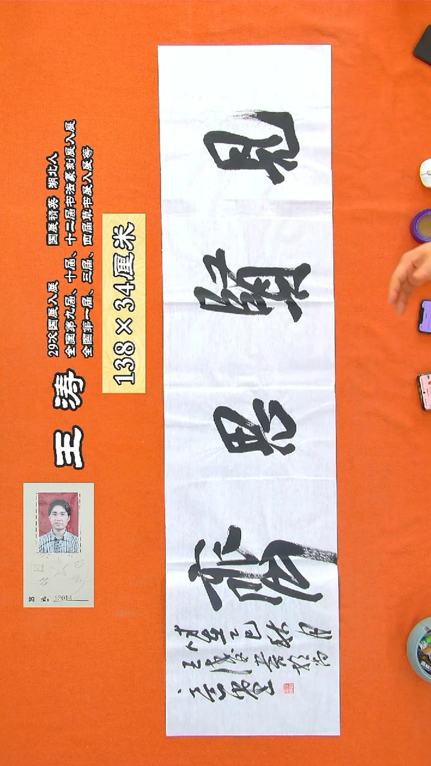 书法265R王涛书法作品