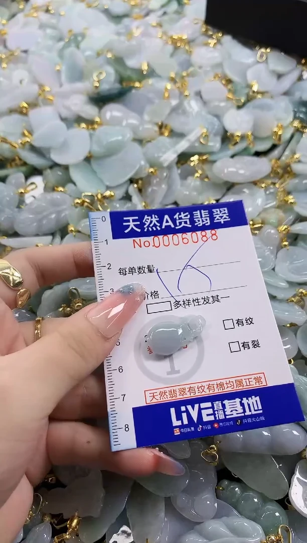 颈饰未镶嵌翡翠天然A货翡翠