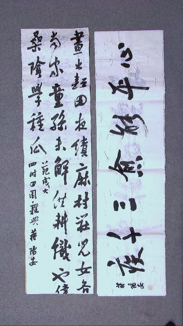 书法蒋阳安 陕西西安138*34四平尺 宋一单138*34尺寸四字