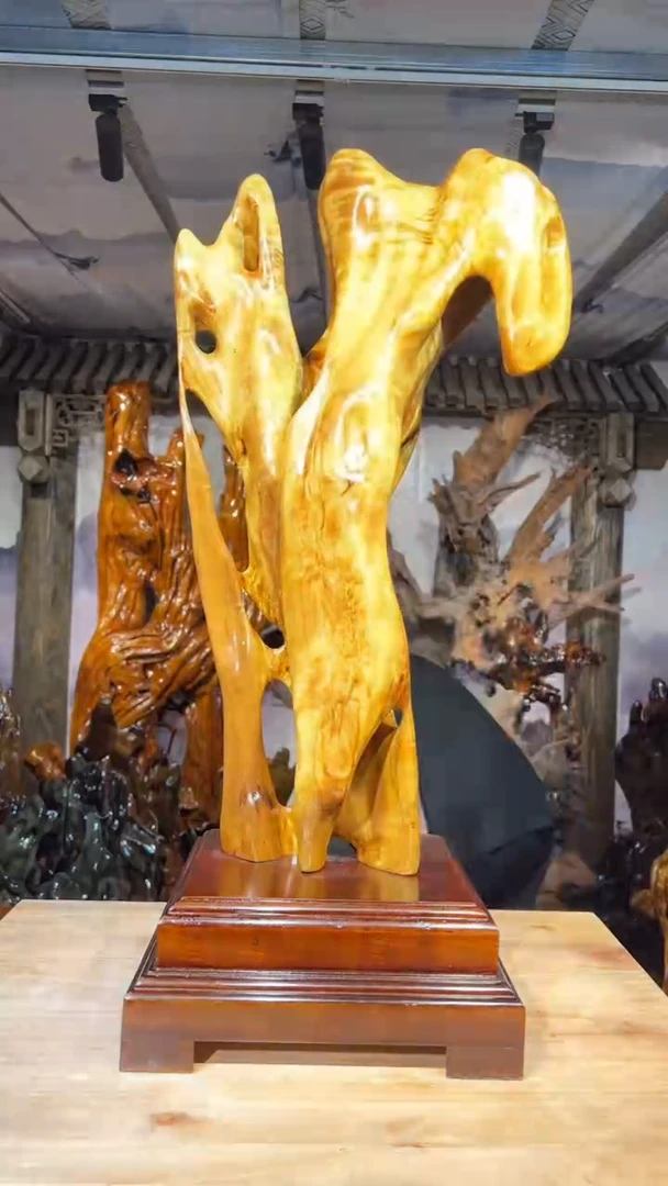 金丝楠池**鱼金丝楠木小叶桢楠