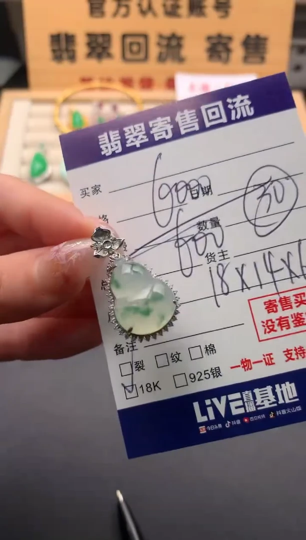 翡翠18K金镶嵌颈饰10134383