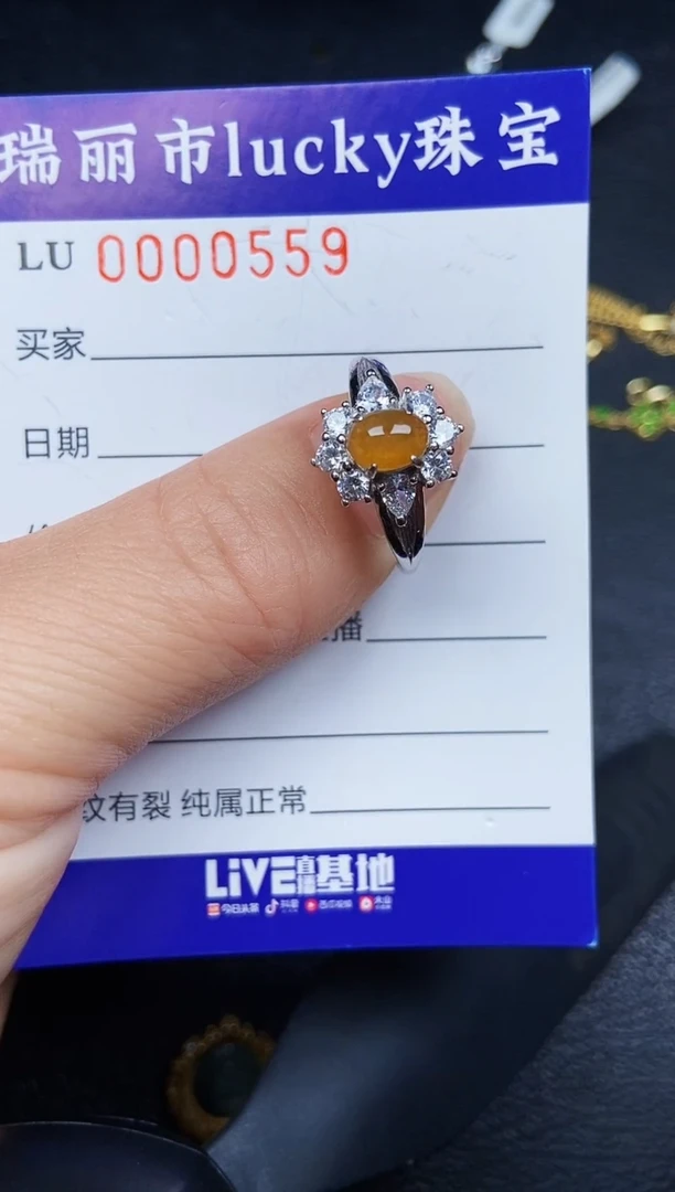 翡翠银S925镶嵌颈饰0559
