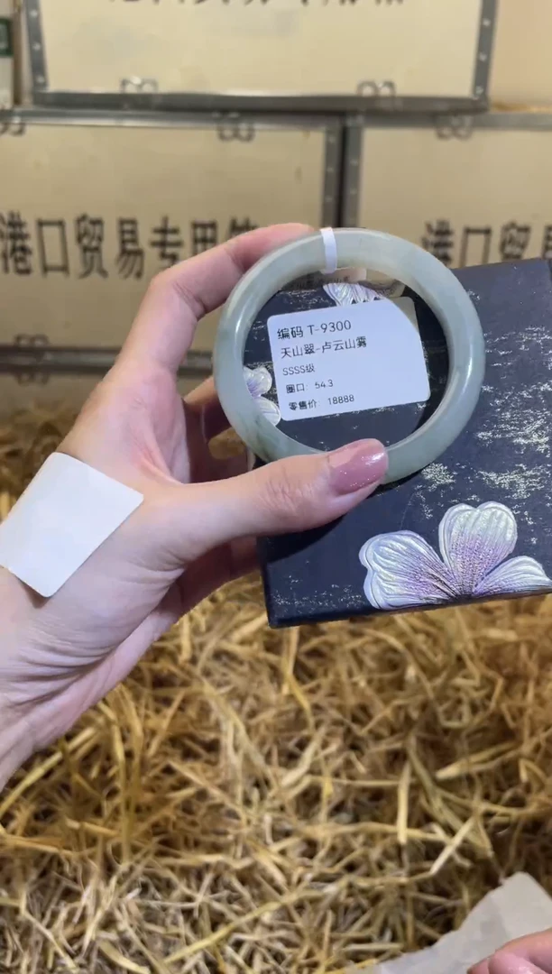 未镶嵌手镯石英质玉T9300