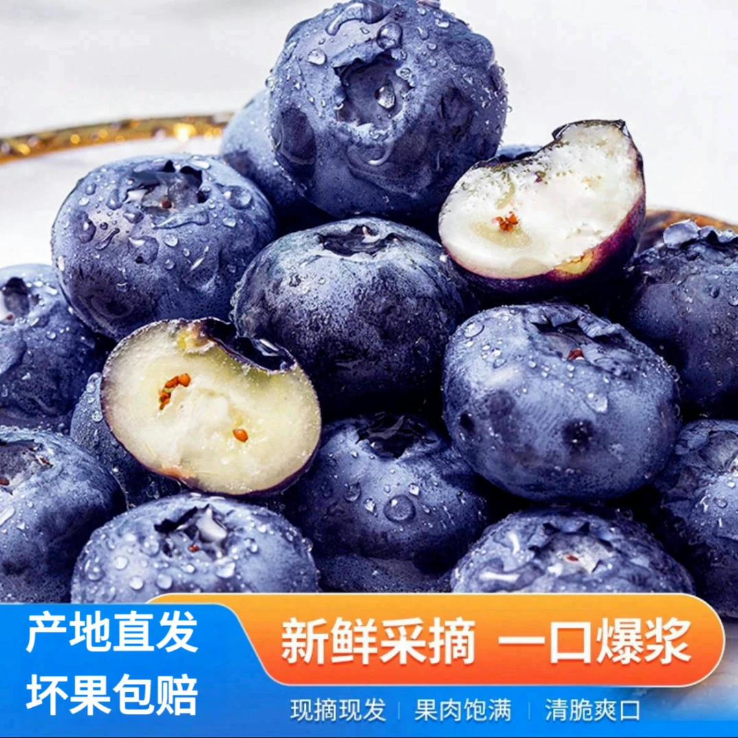 【顺丰包邮】云南高山蓝莓  脆甜可口 护眼神器100g/盒