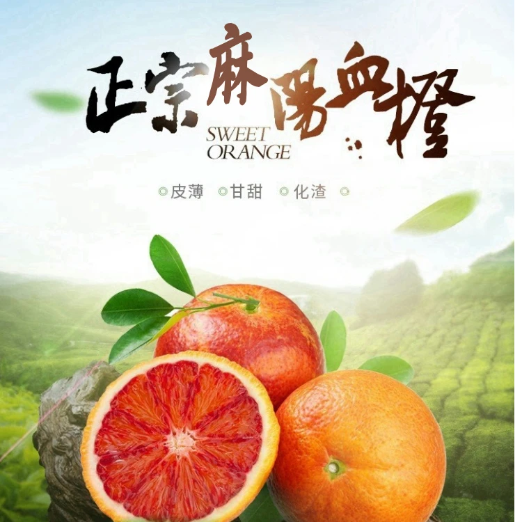 正宗麻阳塔罗科血橙新鲜采摘自然成熟多汁甜美