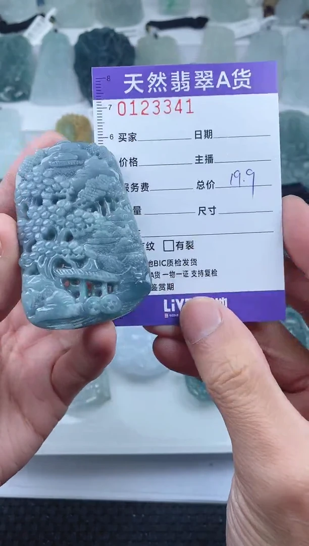 【闪购商品】翡翠颈饰未镶嵌        341
