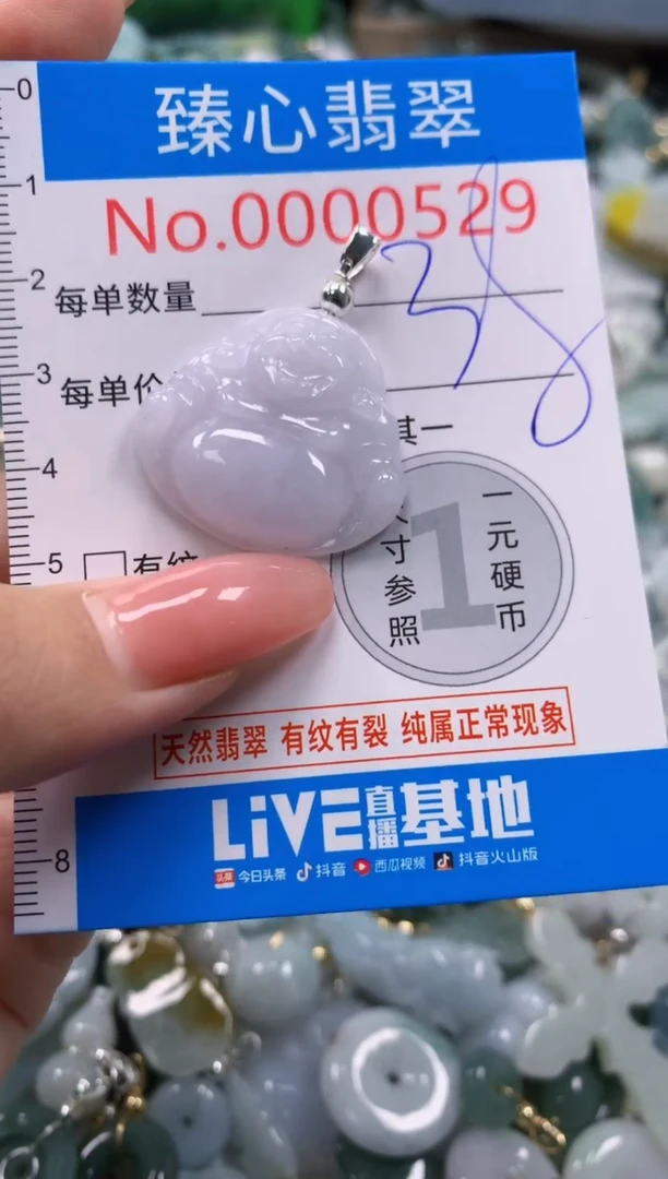 翡翠未镶嵌颈饰529