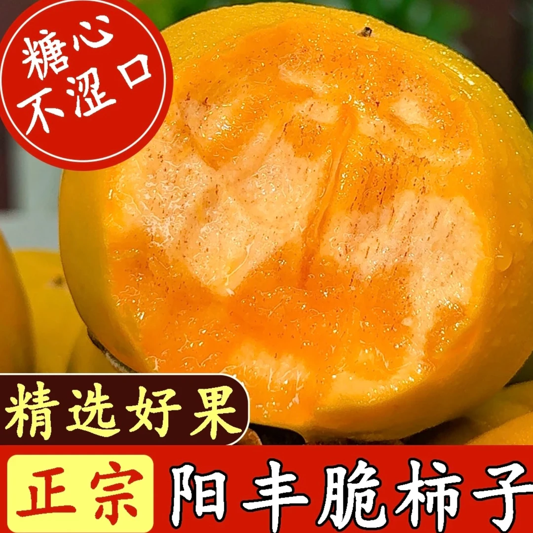 【升级果王】阳丰巧克力脆柿当季新鲜采摘脆甜多汁不涩应季水果龚