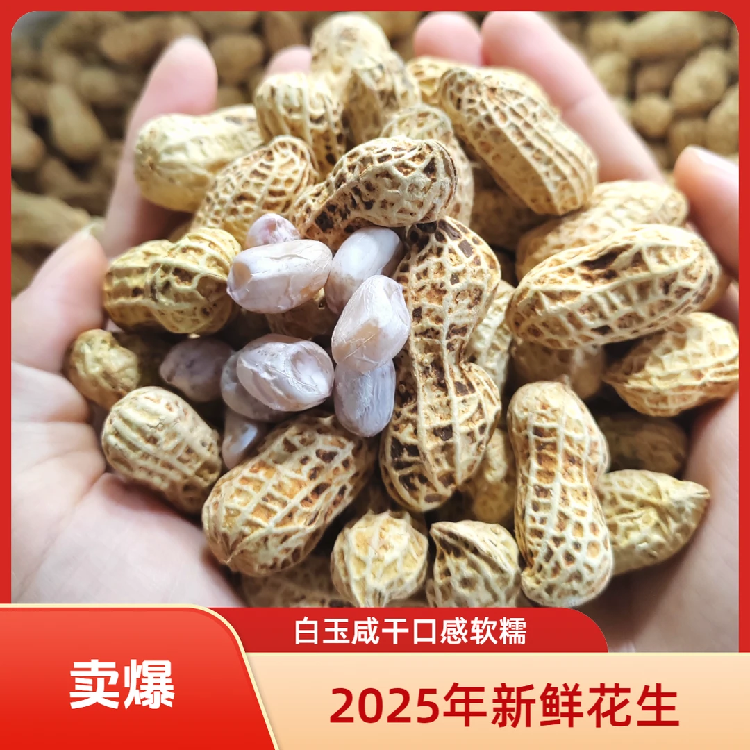 【2025年新花生】广东忠信客家水煮白玉咸干花生日晒咸香500克/袋