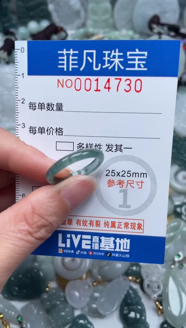 颈饰未镶嵌翡翠14730