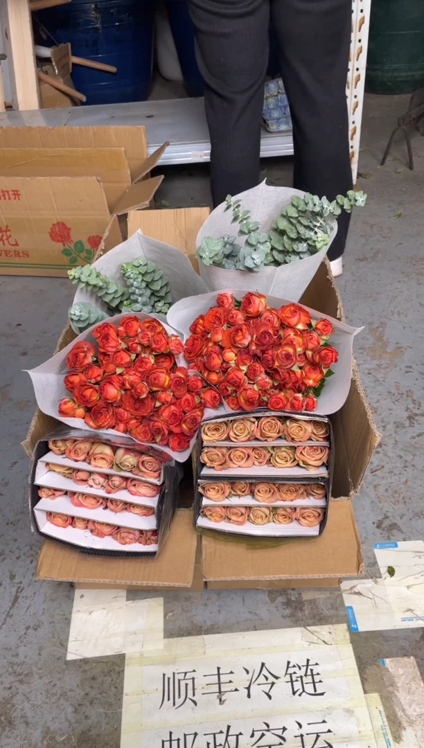 卡布20枝+巧克力10枝+尤加利