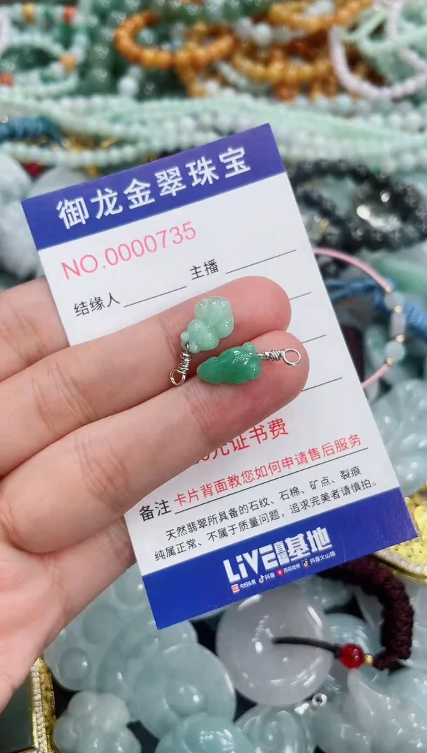 翡翠未镶嵌颈饰063