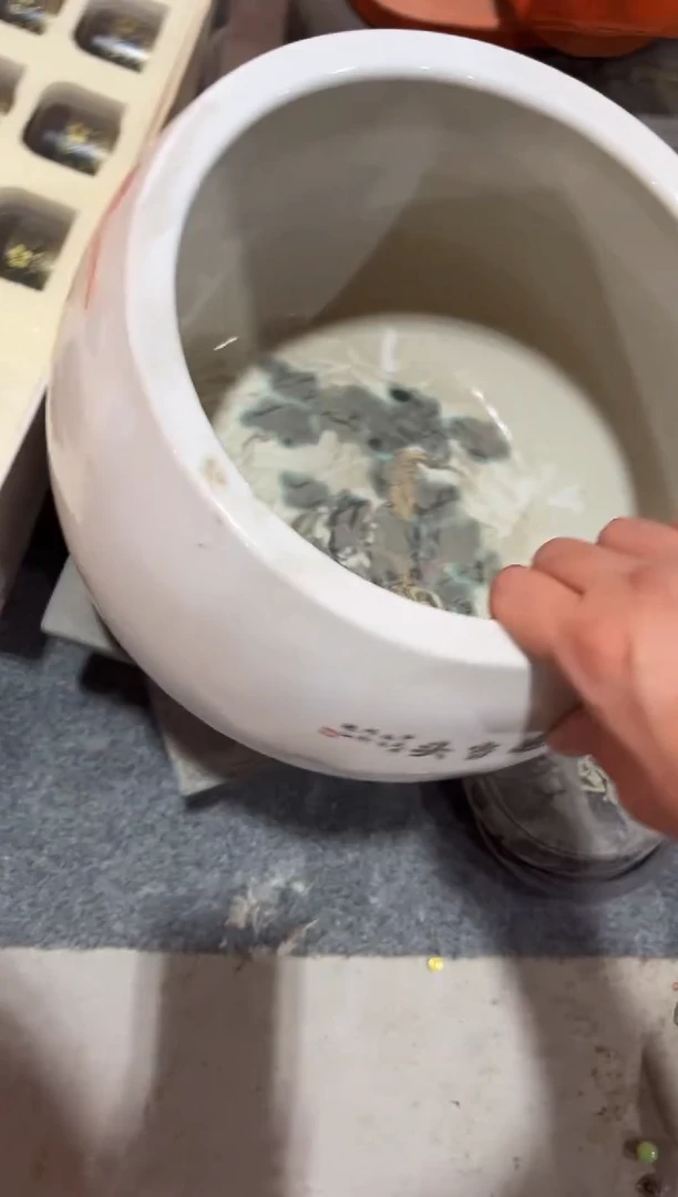 黄杨木11111111111111111111