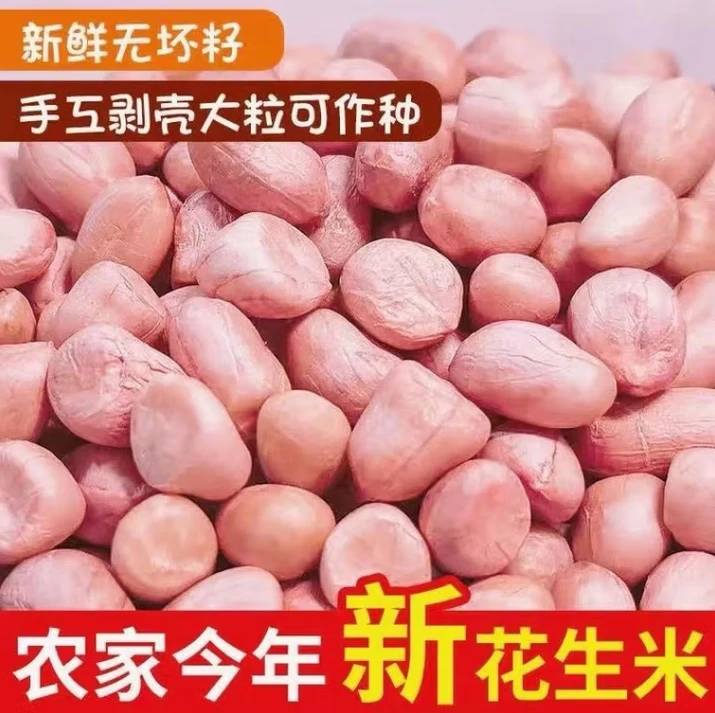 2024年新鲜花生米 开封现剥无壳撸花花生米 可食用 榨油