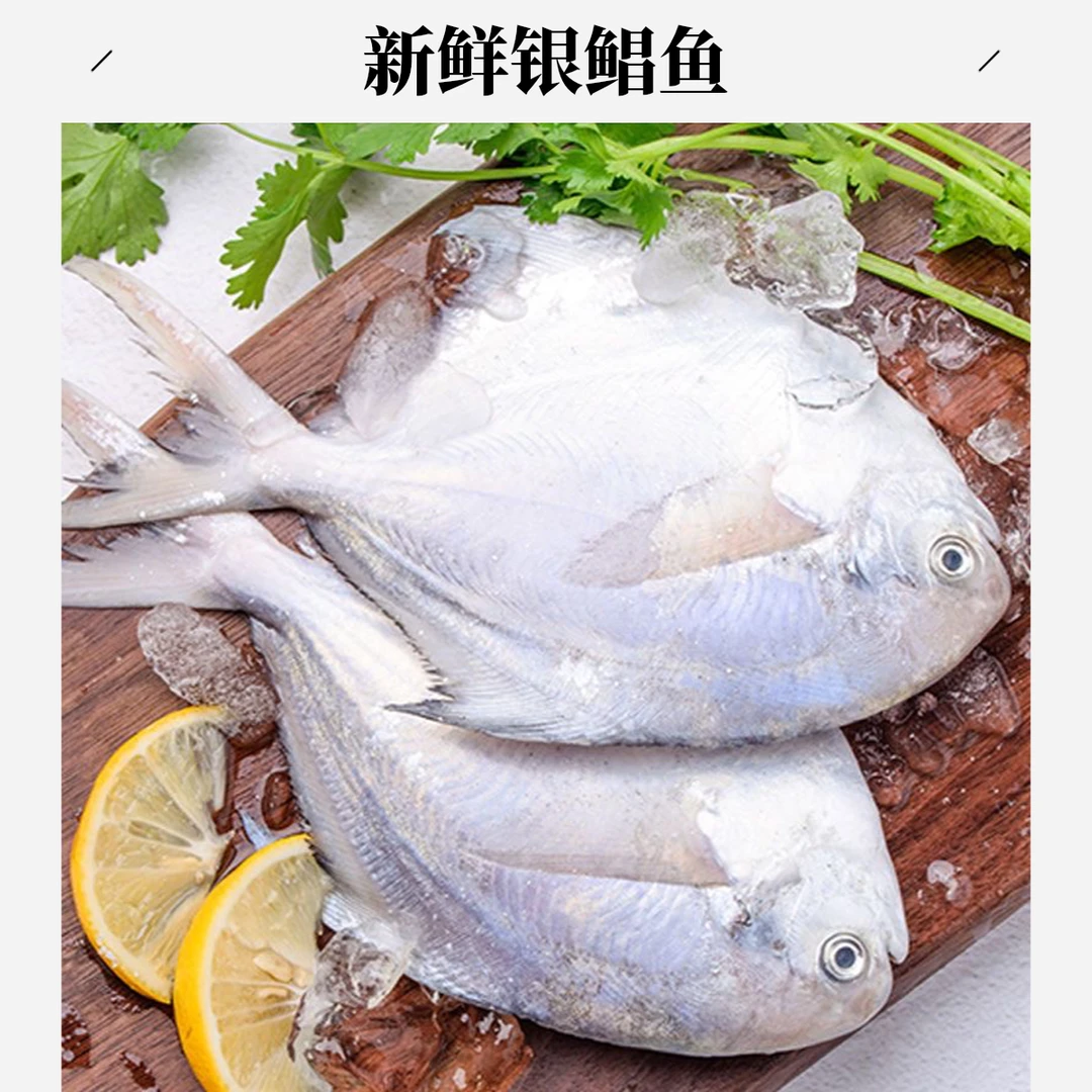 【5斤装】海捕新鲜鲳鱼银鲳鱼海鲜冷冻肉鲳鱼顺丰京东包邮