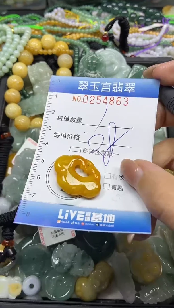 颈饰未镶嵌翡翠闪购C0254863