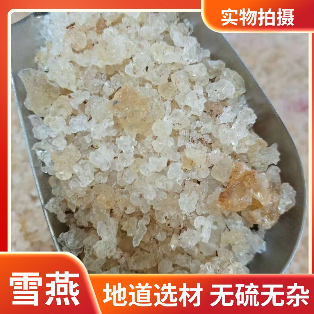 云南雪燕高泡发可炖煮糖水食用精品雪燕