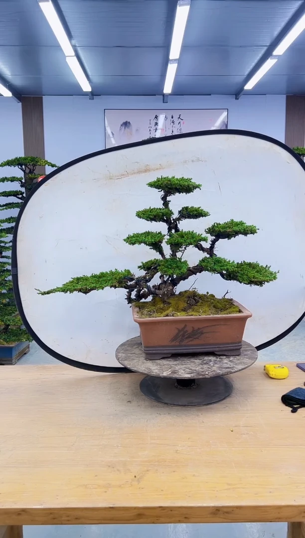 以实际为准000000