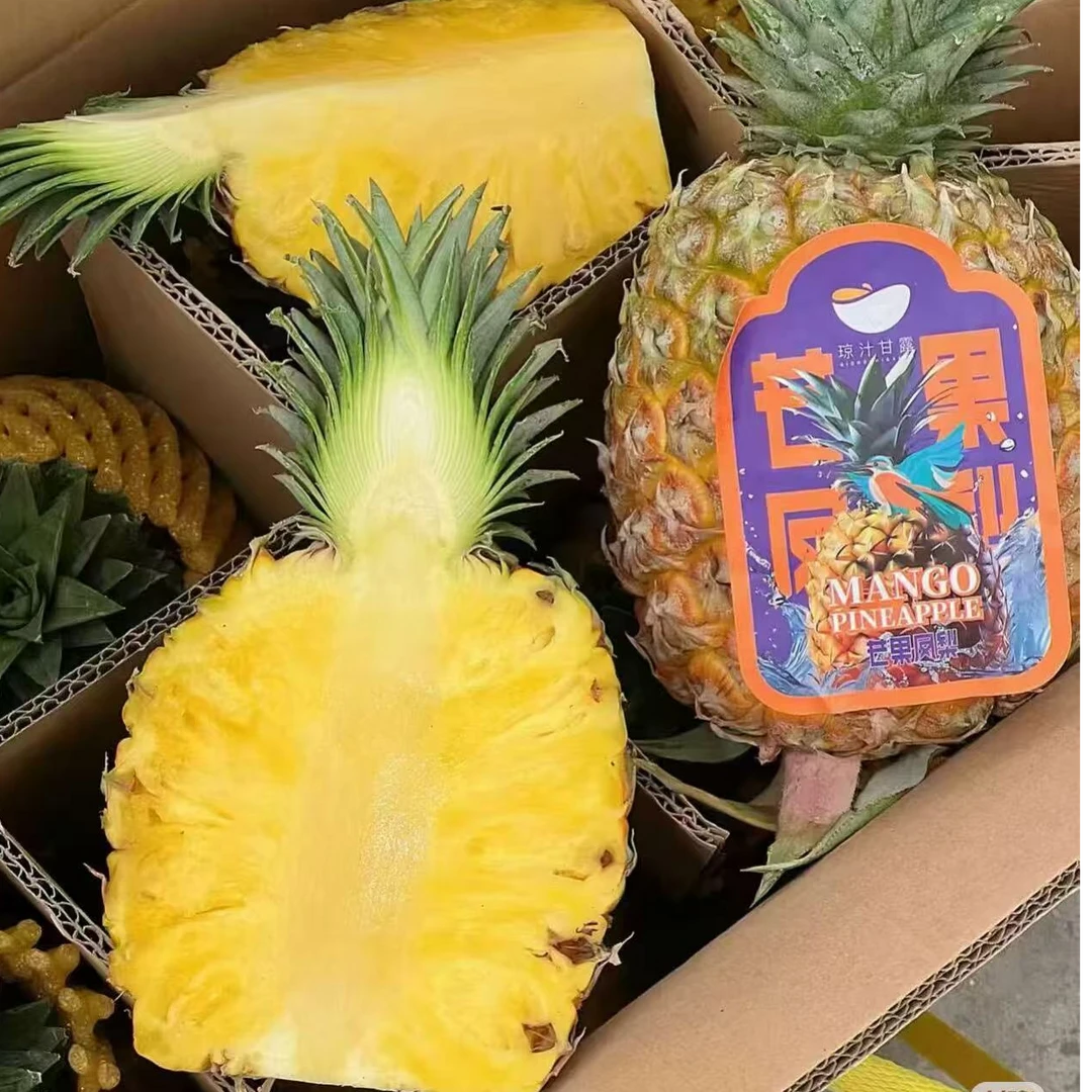 海南芒果凤梨香甜多汁水果新鲜