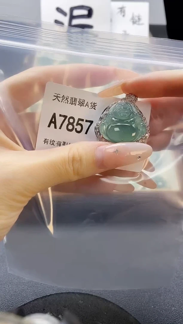 吊坠(赠链)未镶嵌翡翠天然翡翠A货