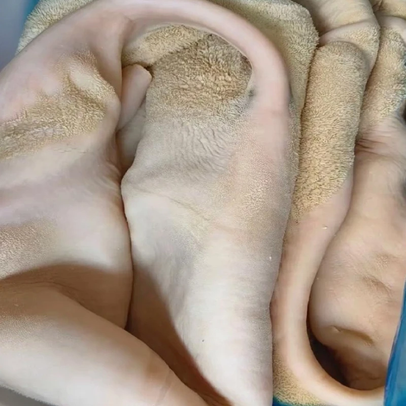 国产鲜出牛大肚金钱肚两种红烧爆炒7/8成熟5斤装牛肚半成品新鲜