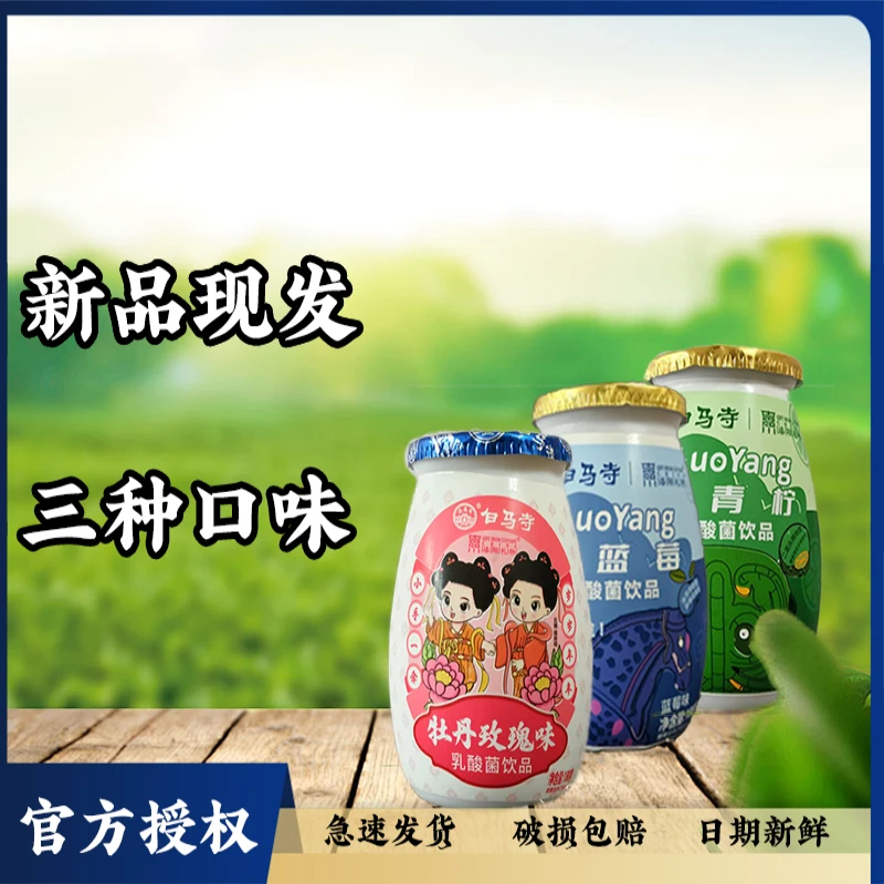 白马寺洛阳礼物牡丹玫瑰味/小青柠/小蓝莓乳酸菌饮品