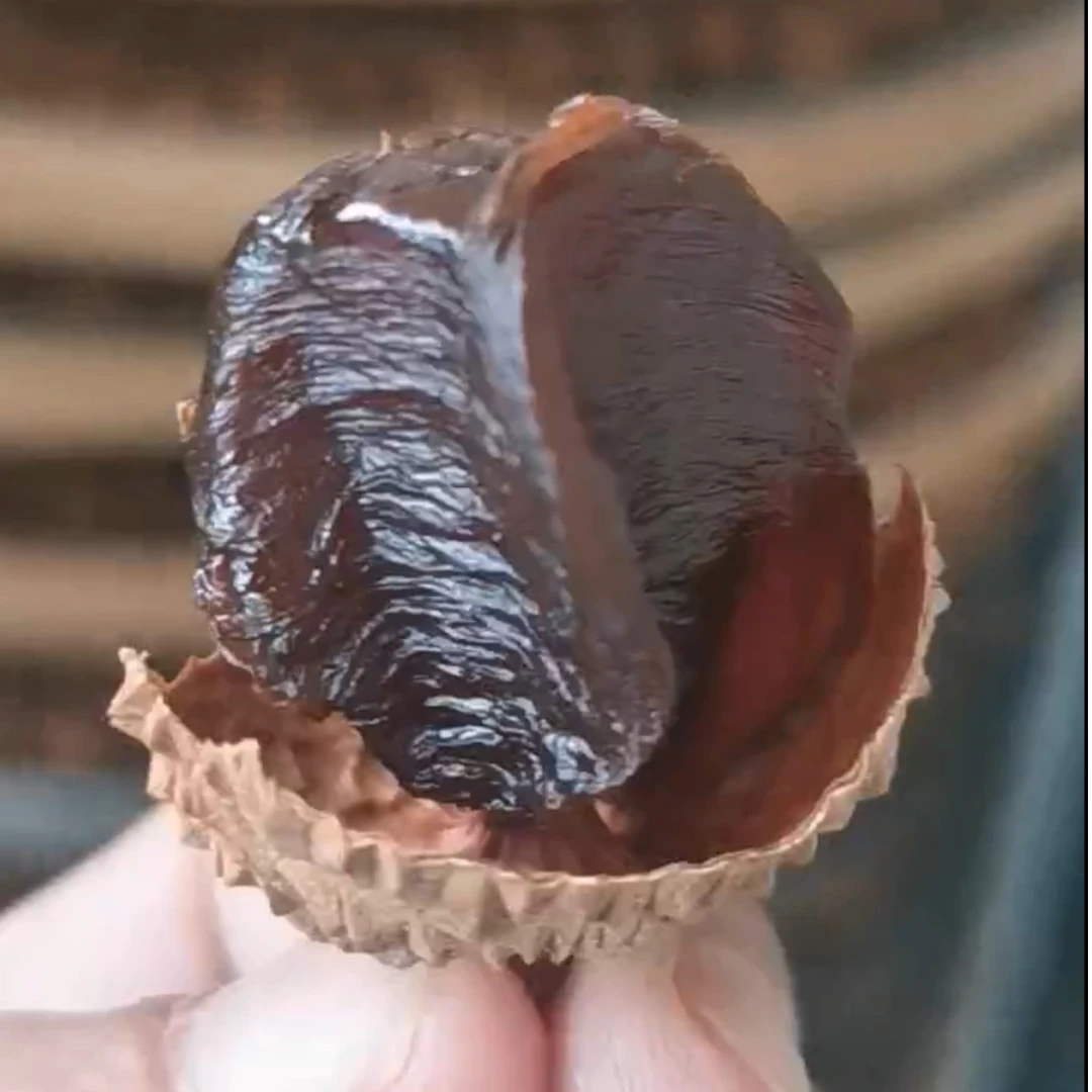 云浮新兴里洞桂味荔枝干