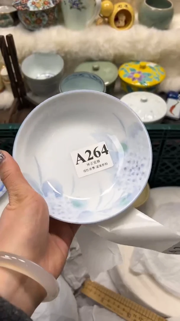 【闪购商品】瓷片          A264