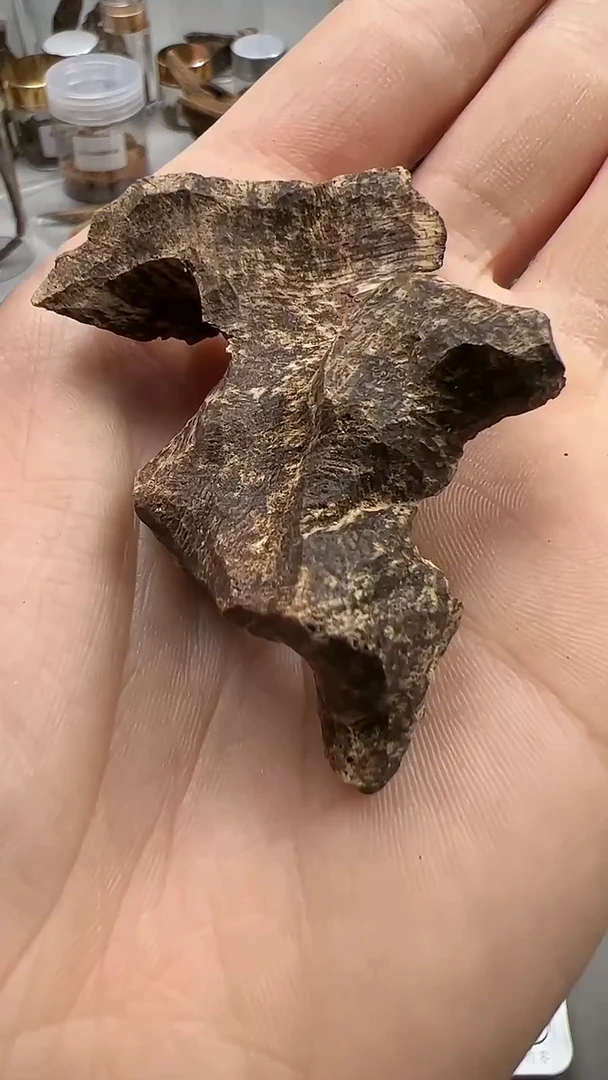 【闪购商品】沉香手把件都蓬品香料4.6g