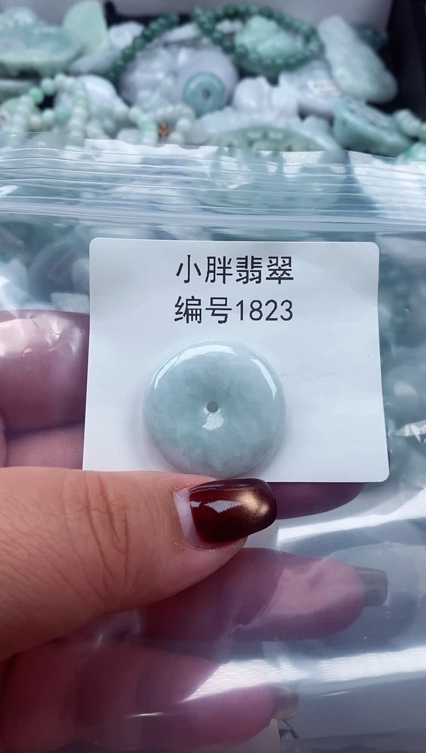 颈饰未镶嵌翡翠缅甸天然A货翡翠1823