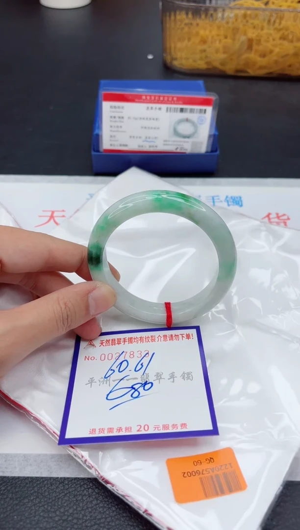 未镶嵌手镯翡翠1