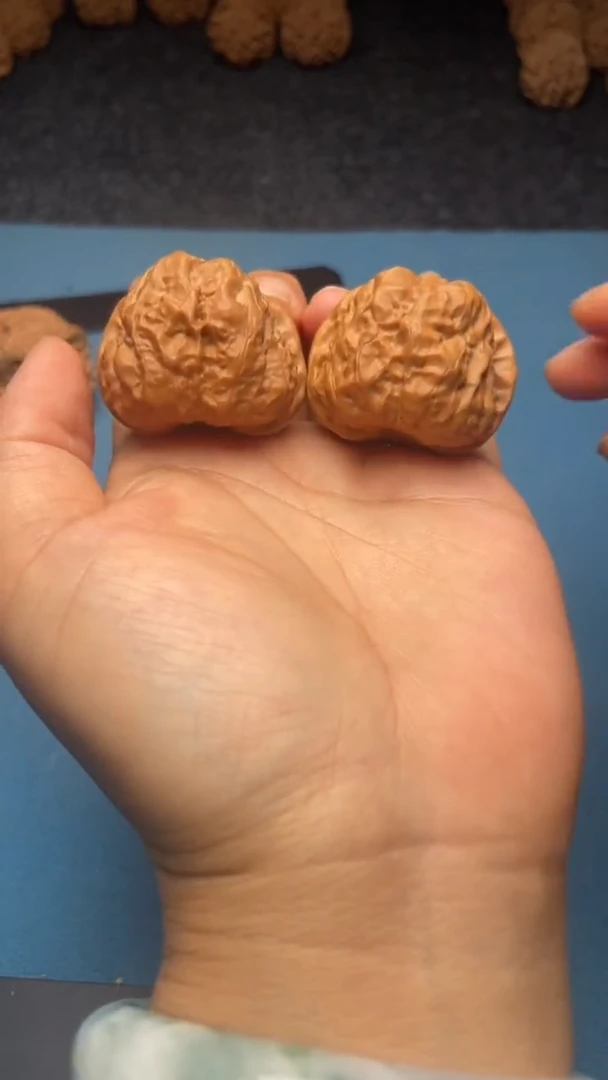 桃核把件w   161  蛤蟆头 38尺